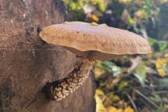 motion_photo_1625719808660776356