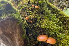 motion_photo_3110703376301373277