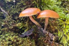 motion_photo_6789204109589633355