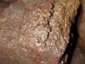 DSC06237.jpg