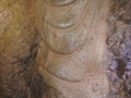 DSC06292.jpg