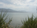 SONY DSC