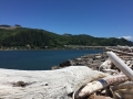 IMG_1353