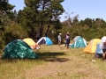 IMG_20160625_130106579