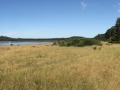 aIMG_7502