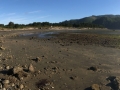 aIMG_7510