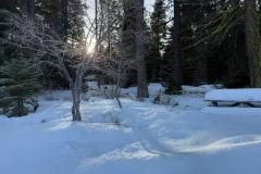 IMG-20250119-WA0043