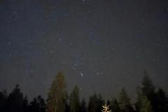 IMG-20250119-WA0079