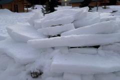 IMG-20250119-WA0084