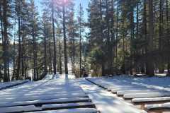 IMG-20250119-WA0120