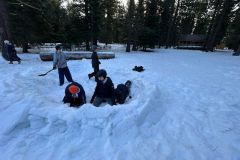 IMG-20250119-WA0129