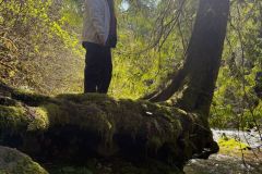 IMG-20250413-WA0015