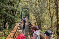 IMG-20250413-WA0094
