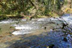 IMG-20250413-WA0149