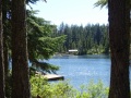 DSC01381
