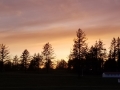 20190316_192051
