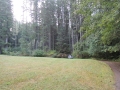 06_DSCN5066