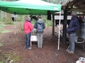 11_DSCN5073