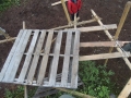 35_DSCN5114