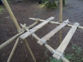 39_DSCN5123