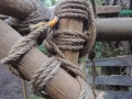 40_DSCN5124