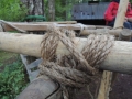 41_DSCN5126