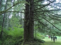 53_4DSCN5156