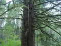 54_DSCN5157