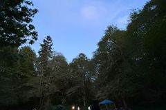 IMG-20250504-WA0004