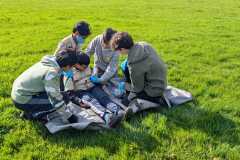 IMG-20250504-WA0035