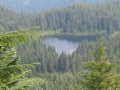 IMG_2616