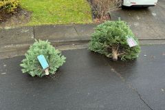 IMG-20250105-WA0002