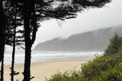 IMG-20241026-WA0021