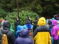 DSC06619.jpg