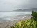 DSC06686.jpg