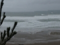 DSC06689.jpg