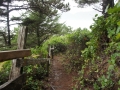 DSC06691.jpg