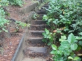 DSC06696.jpg