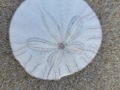 20211030_155015