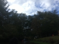 2018-09-22 16.15.54