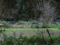 SONY DSC