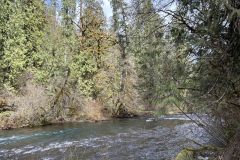 IMG_3301