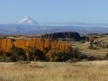 20191026_095016