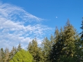 20210522_192621