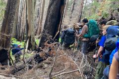 WhatsApp-Image-2025-08-17-at-12.15.14_6f48435c