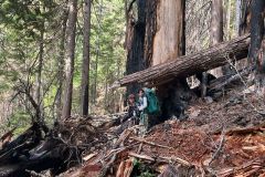 WhatsApp-Image-2025-08-17-at-14.26.20_c322d84d