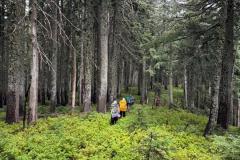 WhatsApp-Image-2025-08-17-at-14.37.10_c33515a4