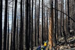 WhatsApp-Image-2025-08-17-at-14.37.47_23fd13b1