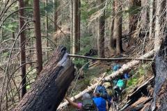 WhatsApp-Image-2025-08-17-at-14.38.15_2ccc9b4a