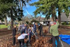 Leaf Rake - 2025